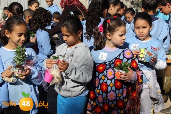 rashidiya 0212 (50).JPG